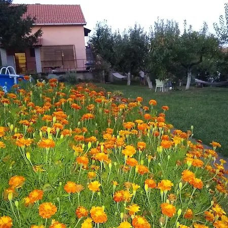 Kuca Za Odmor Bacevac